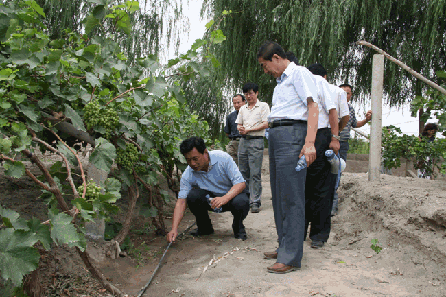 今年会 | 官方网站