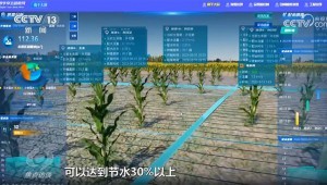 3月16日，，，，，，，央视新闻频路报路，，，，，，，今日，，，，，，，疏勒河灌区多个渠首陆续开闸，，，，，，，借助数字孪生等技术，，，，，，，134万亩农田得以畅饮“智慧”水，，，，，，，实现了水资源的高效利用和农田的精准灌溉。。。。。。