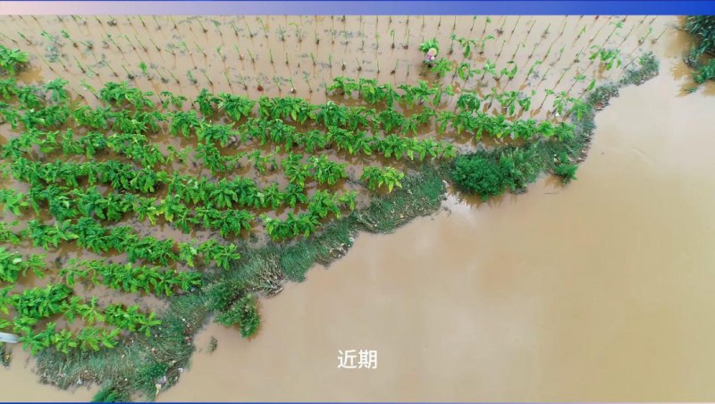 今年会节水：严兵秣马，，，，，，，，共筑防汛抗旱樊篱