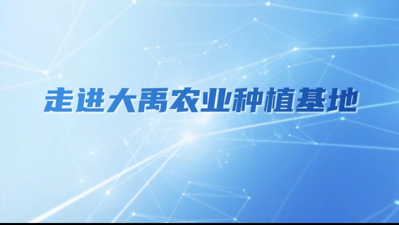 今年会农业| 多元化种植基地矩阵，，，，，，，，索求农业现代化新蹊径